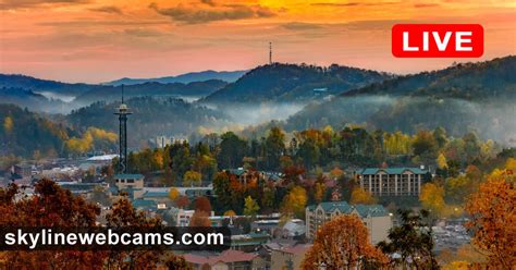 gatlinburg web cams|Live Webcams 